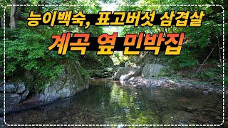 강원 영월ㅣ인당 3만 5천 원이면 무제한 표고버섯 삼합과 아침식사를 제공해 주는 계곡 옆 민박집