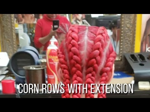 corn rows with extension