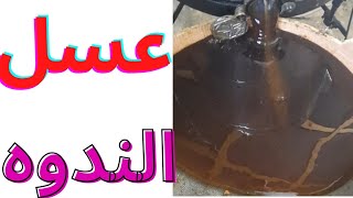 عسل الندوه والعسل الجبلي وفرزه