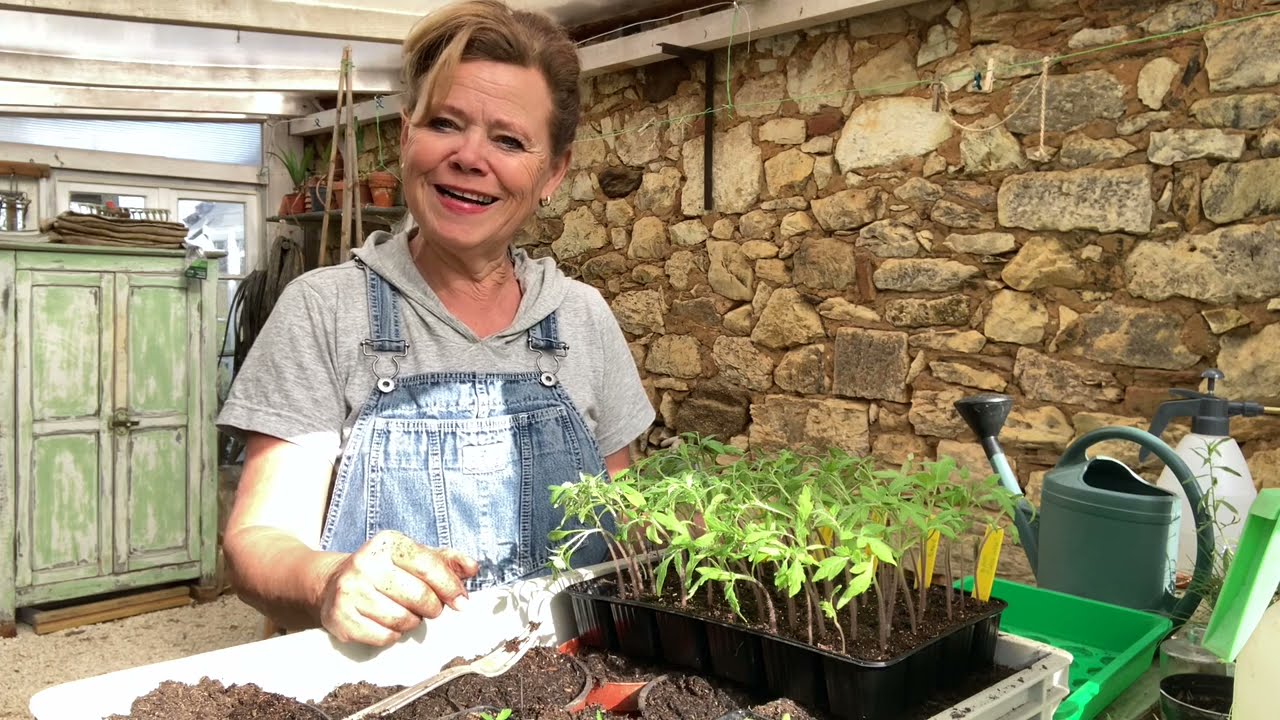 Ini's moestuin #51- Tomaten verspenen, aardappels poten, zaaibed aanleggen, zoete aardappel stekken.