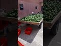 الشاب رضوان بائع لافوكا احرق دولة كوريا الشرقية بهاد لكلاش