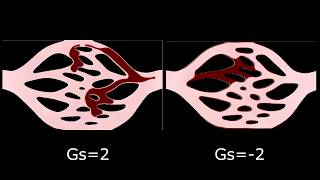 Fluid Droplets (Wetting vs non wetting)