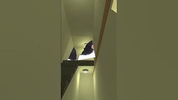 Cockroach, Michael Jackson And Banana Nextbot Gmod