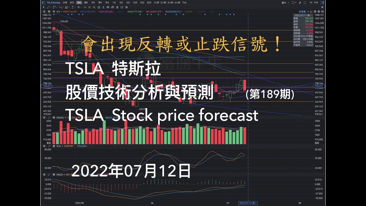 TSLA 特斯拉 股價預測 2022年07月12日; TSLA Stock price forecast for 12.July.2022  （第189期）。