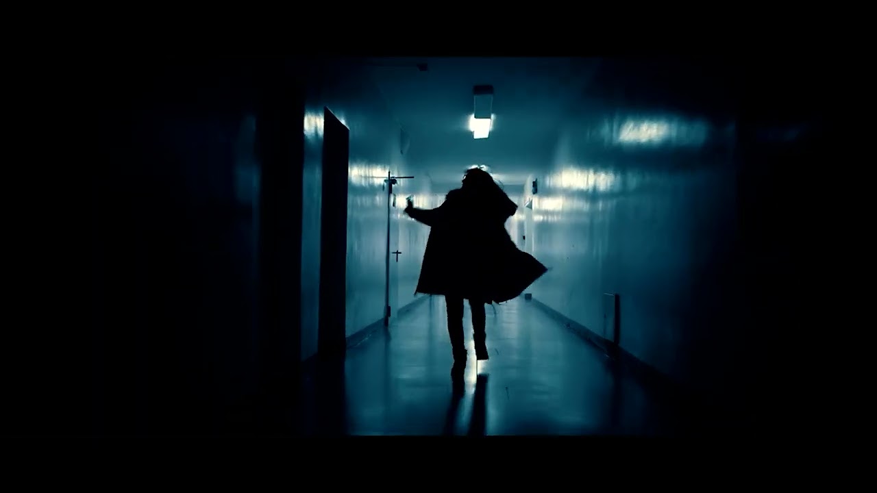 Video Book Trailer Sample 11