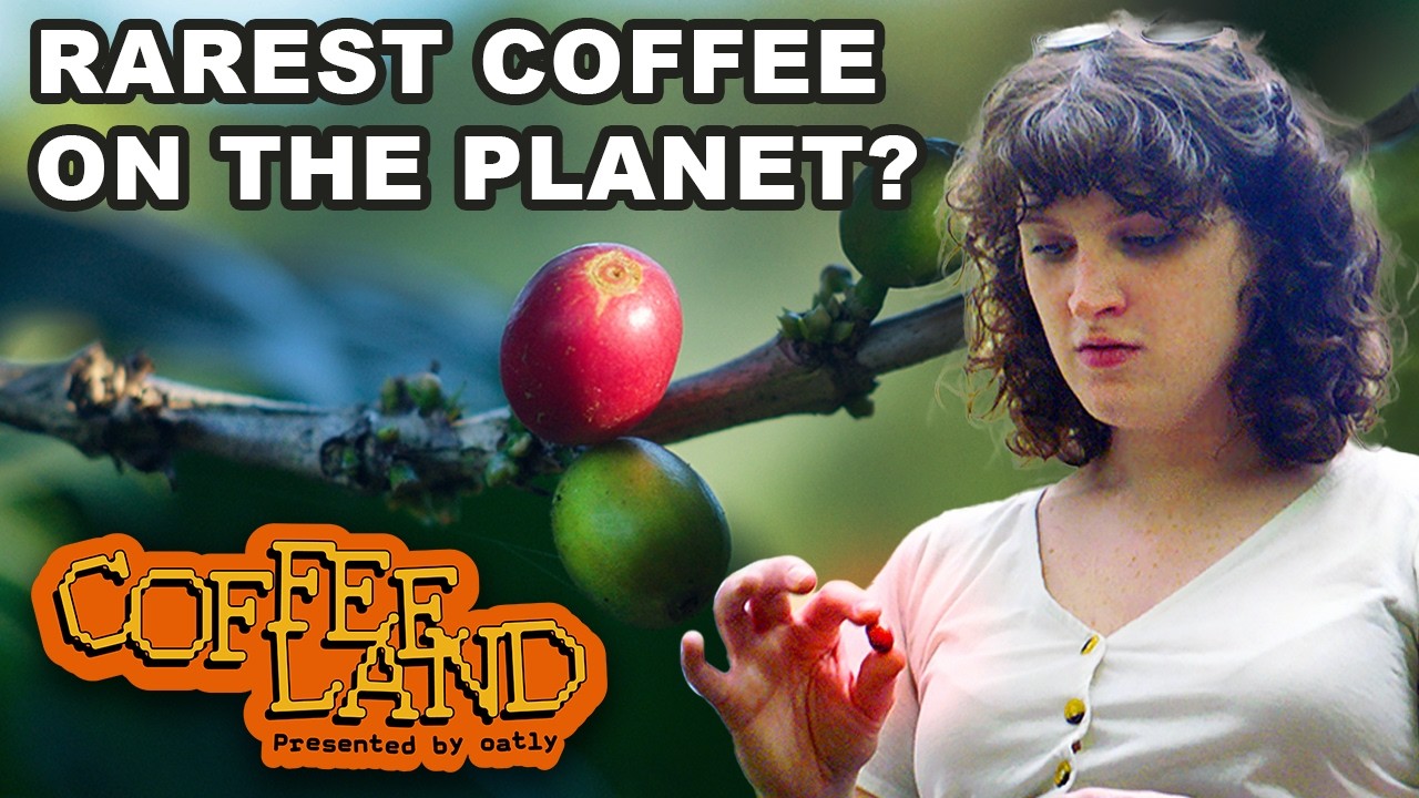 Puerto Rico is Changing Coffee Forever: CoffeeLand Ep. 2
