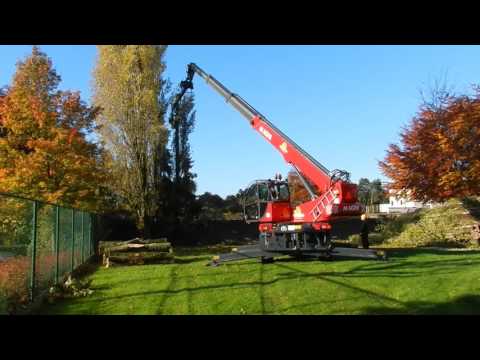 Video: Populier (21 Foto's): Zwart En Andere Soorten. Bladeren Van Bomen. In Welke Maand Bloeit Populier En Hoe Ziet Het Eruit? Hoeveel Jaar Leeft Hij? Waarom Wordt Hij In Steden Geplant?