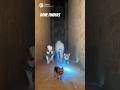 Bone Finders | The Quest for Anubis’ Lost Bones Begins | Lizzy the Yorkie