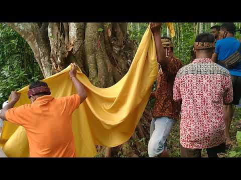 Video: Rahasia Kepala Buddha Disimpan Oleh Pohon Bodhi - Pandangan Alternatif