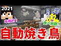 【カズクラ2021】これはヤバい!食糧難はもう二度と訪れません。#21【たいクラ】【マイクラ】【サバイバル】
