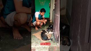 love krne Wale Hi Samjha Sakte Hain ❤️ #humanity #emotational #dogrescue #shorts