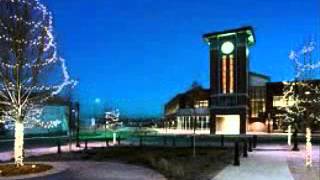 Highlands Ranch homes for sale real estate