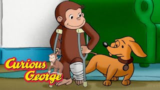 Curious George Housebound! Kids Cartoon Kids Movies Videos for Kids