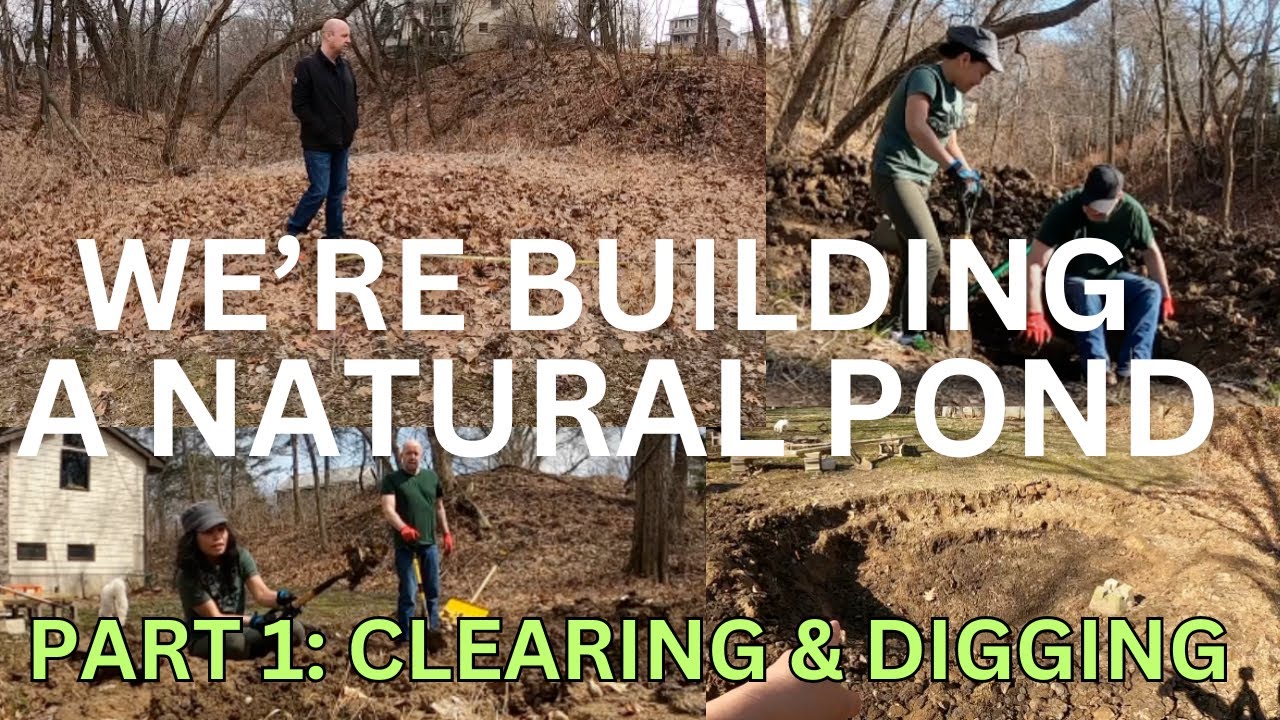PART 1: WE'RE BUILDING A NATURAL POND IN OUR BACKYARD | CLEARING THE ...