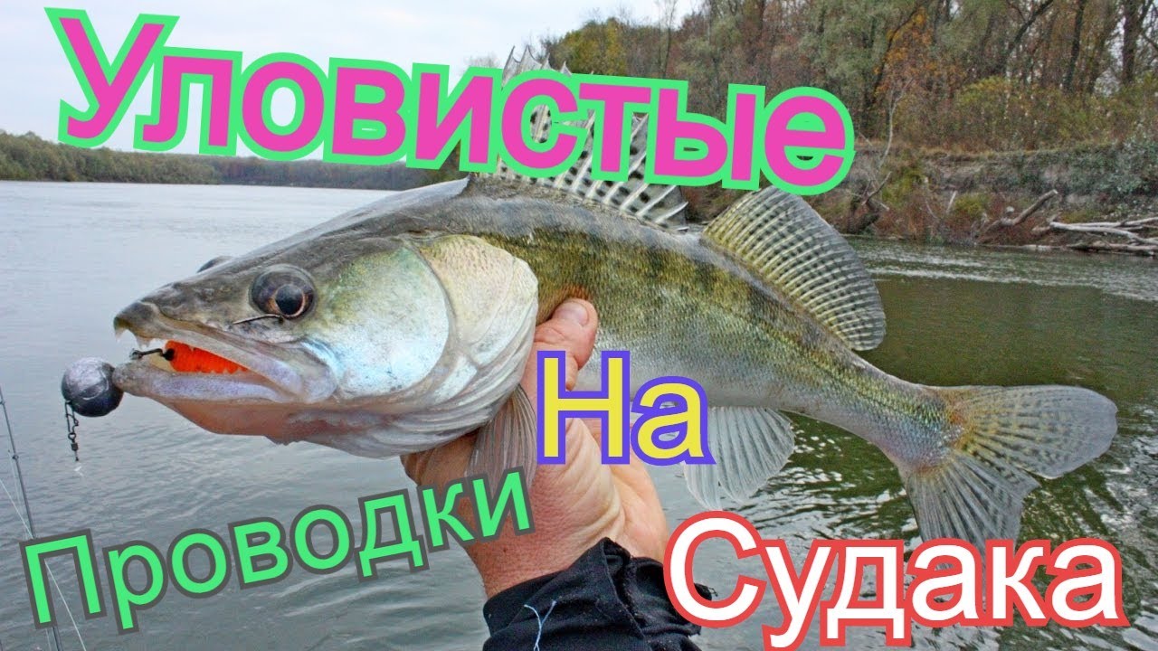 Проводка на ссангйонг