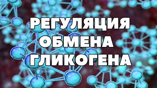 Биохимия.Регуляция обмена ГЛИКОГЕНА.