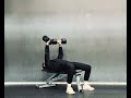 Dual DB Full Range Bench Press