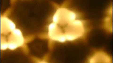 290394095902938487578639201982897376576349837409812-0109283409879387573746666