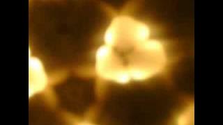 290394095902938487578639201982897376576349837409812-0109283409879387573746666