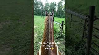 That Feeling You Get When They Pull This Move