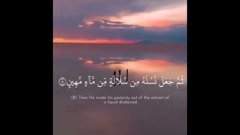 الذي أحسن كل شيء خلقه وبدأ خلق الإنسان من طين ❤️ مقطع من سورة السجدة (إسلام صبحي),