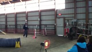 CPE Agility Standard - Level 1