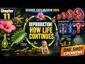 Reproduction: How Life Continues | Class 9 Science Chapter 11 Full Explanation | Exploration 2026 🌱👶