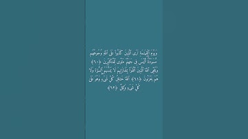 علي جابر سورة الزمر #لايك #اكسبلور #quran #سبسكرايب