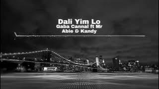 Gaba Cannal - Dali Yim Lo (Feat. Mr Abie & KandyBeats) [ Visualizer]