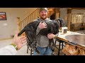 I Hired A New Guide and His Handicapped Dog!! Plus Lodge Update