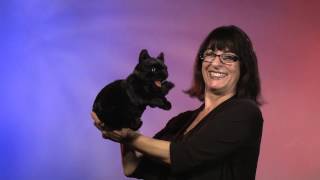 Folkmanis Black Cat Puppet Demo
