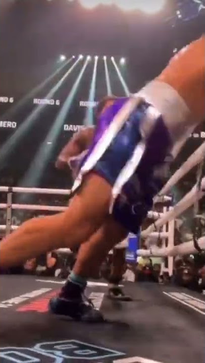 Gervonta knock out Rollies Romero in round of 6th