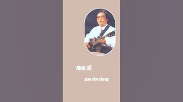 Vọng Cổ Huyền Diệu – Danh Cầm Văn Giỏi Trình Tấu