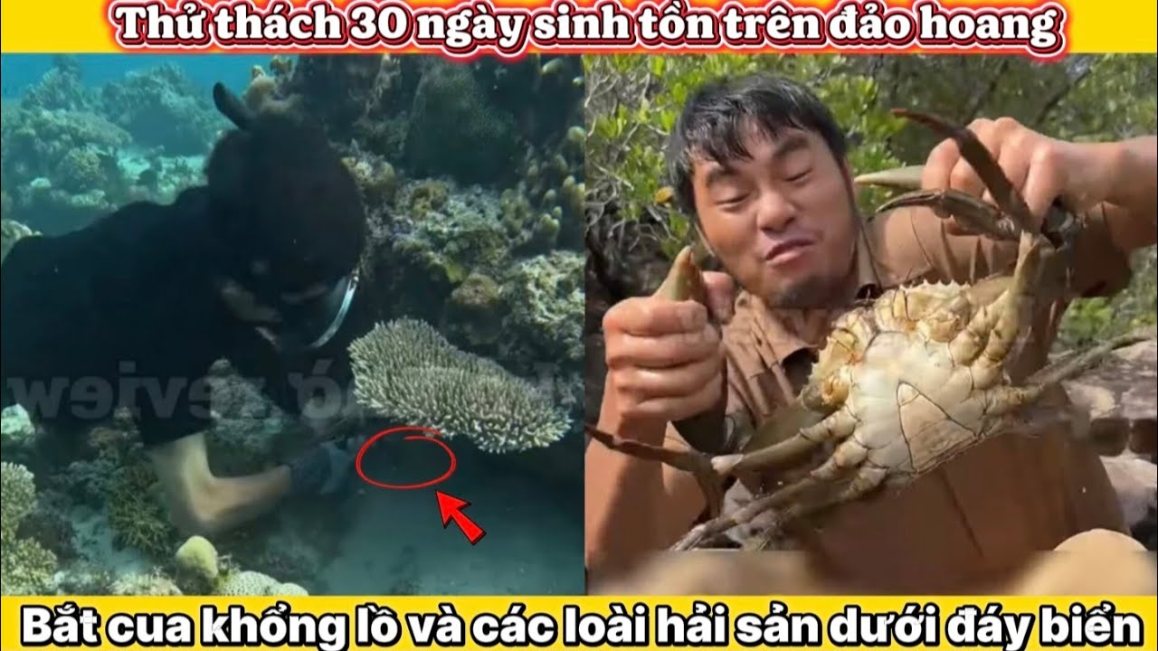 P6 |Thử Thách 30 Ngày Sinh Tồn Trên Đảo Cá Sấu: Bắt Cua Khổng Lồ Và Lợn Rừng