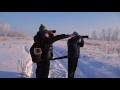 Прикормка дикой ястребиной совы / feeding wild northern hawk-owl