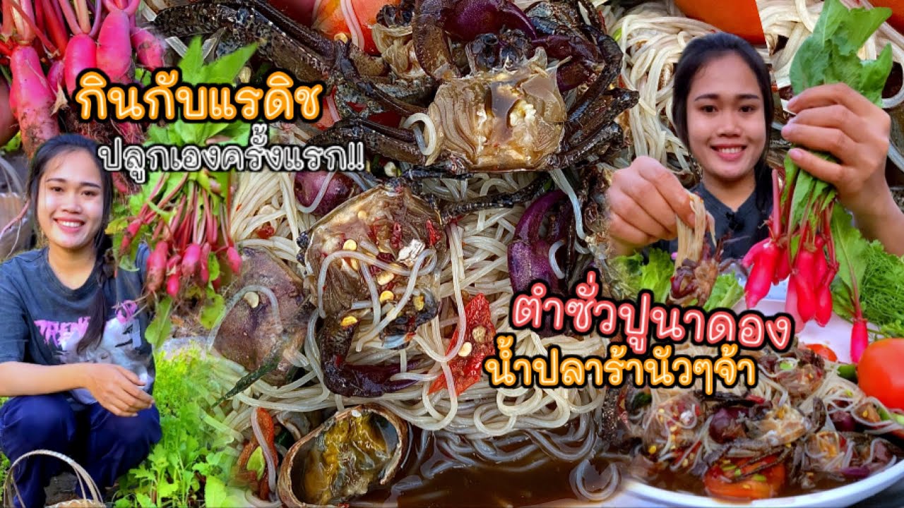 ตำซั่วปูนาดอง มันเยิ้มๆทุกตัว แกล้มผักแรดิชปลูกเองครั้งแรก แซ่งแฮงเด้อ