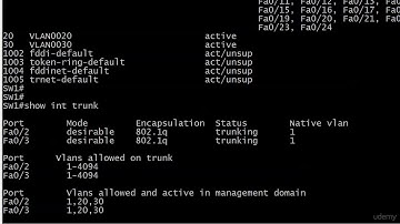 020 Config 7  The Trunking Port Modes