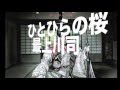 ひとひらの桜/最上川司 cover Keizo