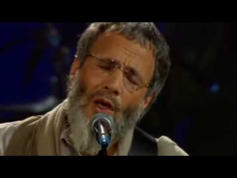 cat-stevens-(yusuf-islam)---don't-let-me-be-misunderstood