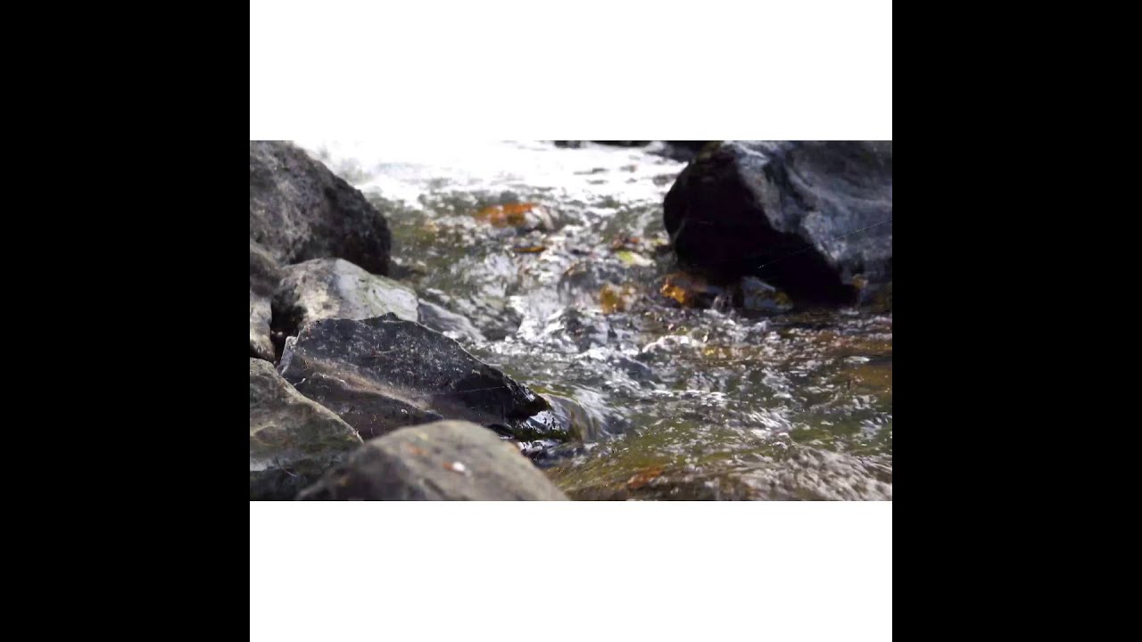 Relaxing River sounds- Peaceful Forest River