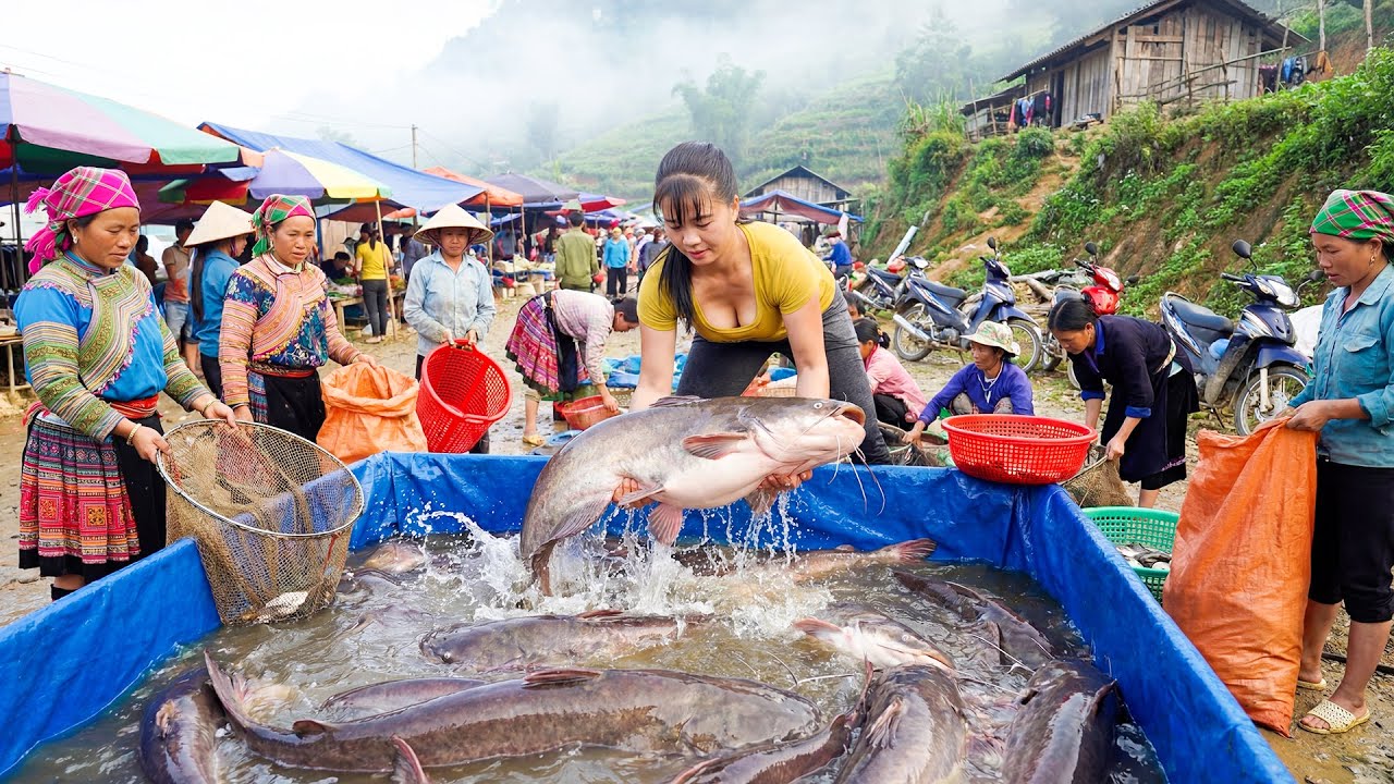 Harvesting 100Kg Giant Catfish, Use 3-Wheeled Truck Transport Many Catfish Goes To Market Sell