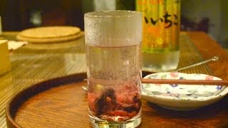 焼酎の飲み方：梅干入りのお湯割り　　How to make Shochu (Japanese clear liquor) with hot water and pickled plum