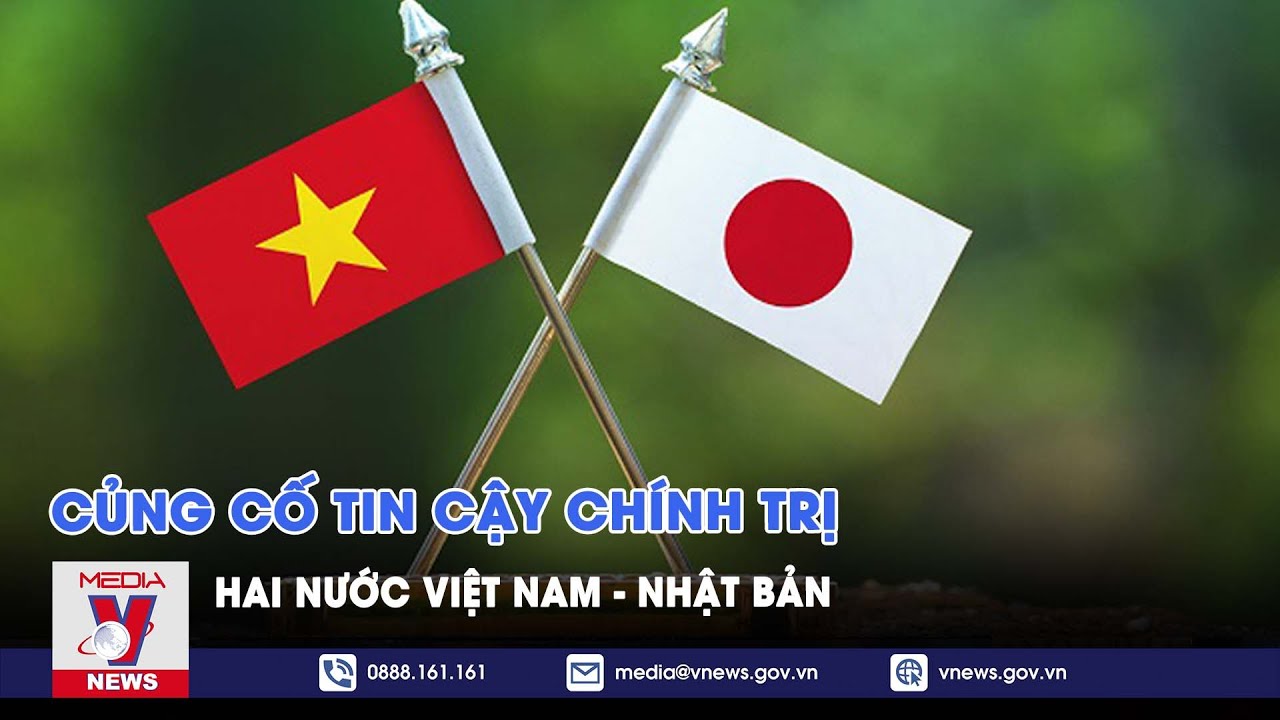 Củng cố tin cậy chính trị sâu sắc hai nước Việt Nam - Nhật Bản ...