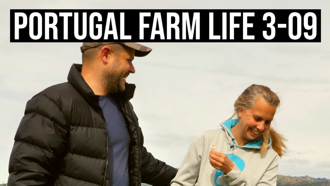 Получение ЗАРАБОТКОВ за владение сельскохозяйственной ФЕРМОЙ в Португалии | ФЕРМЕРСКАЯ ЖИЗНЬ В ПО...