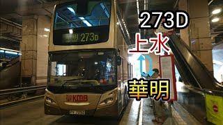 KMB 273D 上水來往華明 行車片段