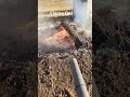 Using a leaf blower to help the fire burn faster