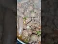 الجملي هو املي