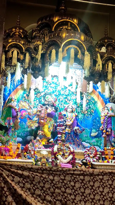 Pakad lo hath banwari #bhakti #bhajan #viralreels #vrindawan