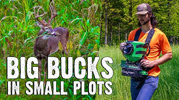 How to Create a Killer Hidey Hole Food Plot for Deer – Cheap, Easy & Effective