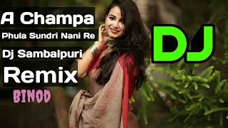 A Chapa Phula Sundri Nani Re Dj sambalpuri Remix Thumb